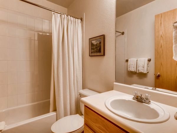 Breckenridge Condo 950100