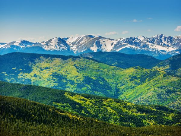 Breckenridge Condo 950105