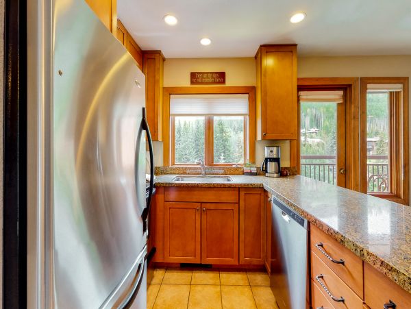 Vail Lionshead Condo 950106