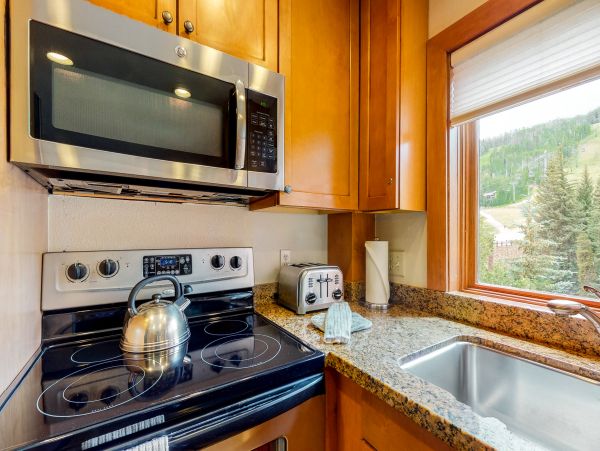 Vail Lionshead Condo 950106