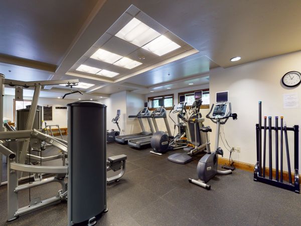 Vail Lionshead Condo 950106