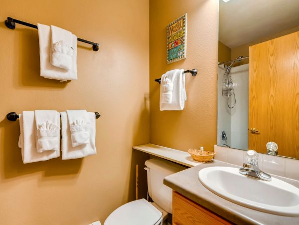 Breckenridge Condo 950108