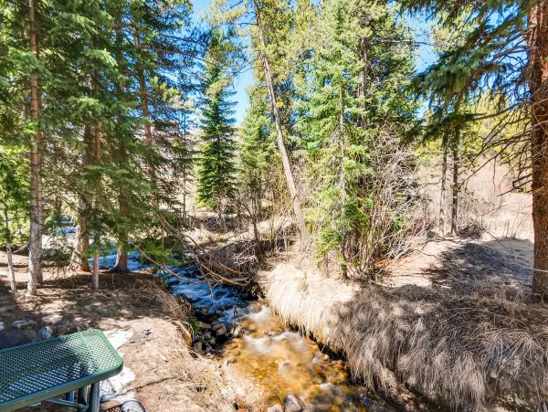 Breckenridge Condo 950108