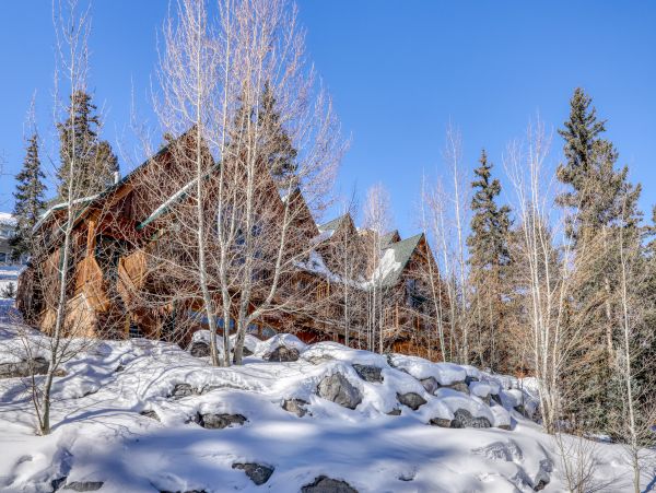 Breckenridge Home 950110