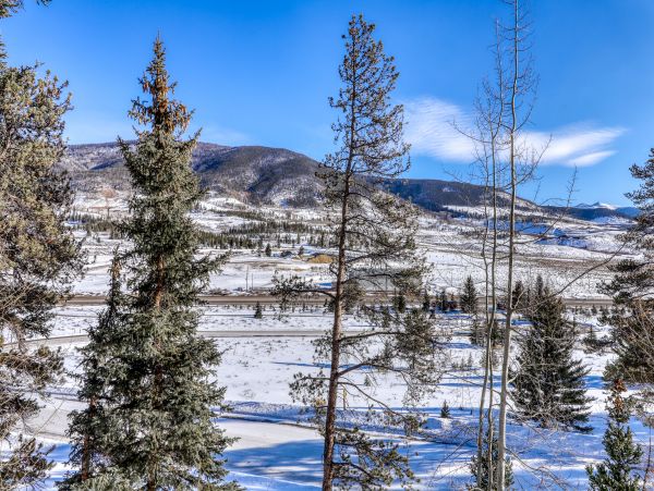 Breckenridge Home 950110