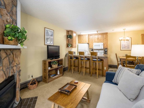 Steamboat Springs Condo 950115