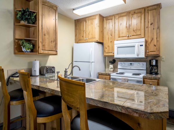 Steamboat Springs Condo 950115