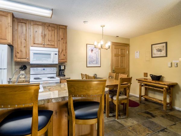 Steamboat Springs Condo 950115