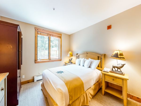 Breckenridge Condo 950116