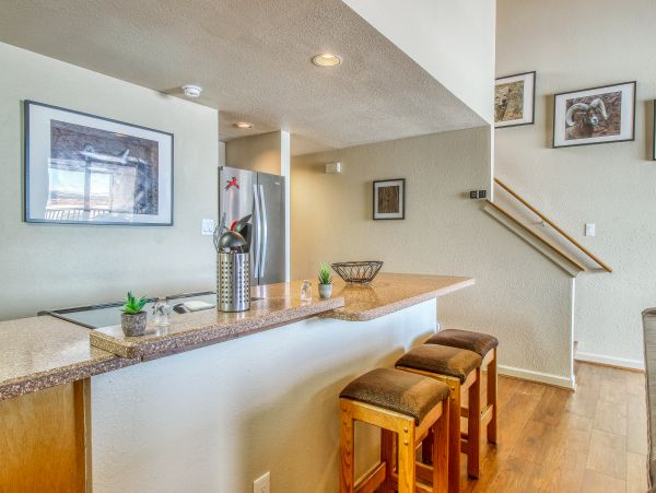 Breckenridge Condo 950118