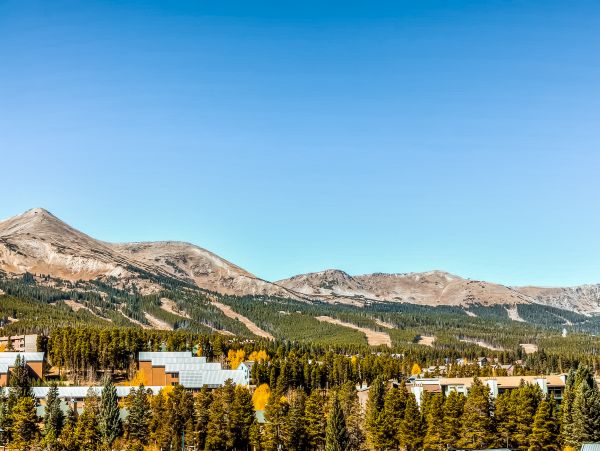 Breckenridge Condo 950119