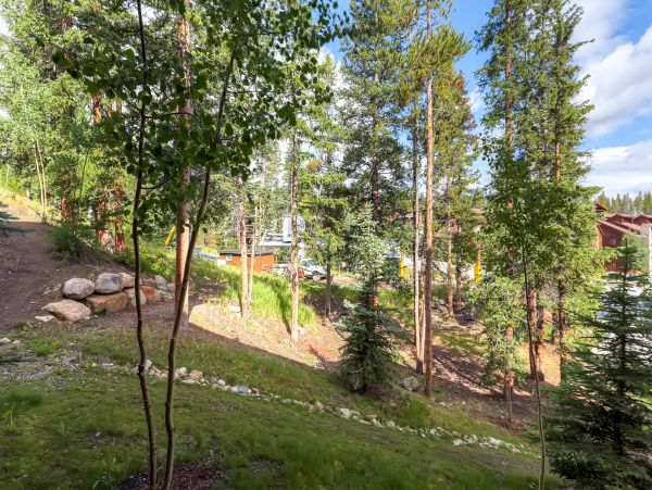 Breckenridge Condo 950120