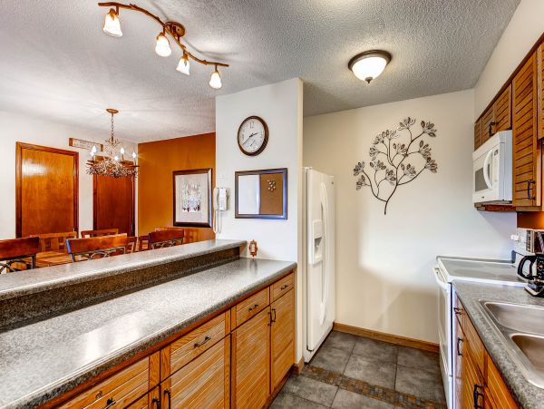 Steamboat Springs Condo 950121