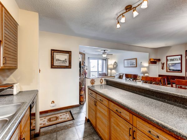 Steamboat Springs Condo 950121