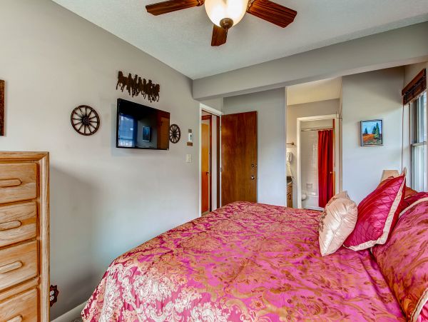 Steamboat Springs Condo 950121