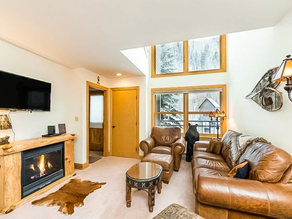 Telluride Condo 950122