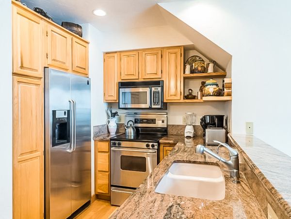 Telluride Condo 950122