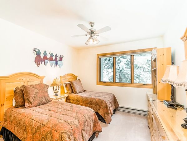 Telluride Condo 950122