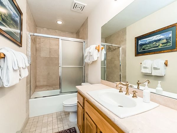 Telluride Condo 950122