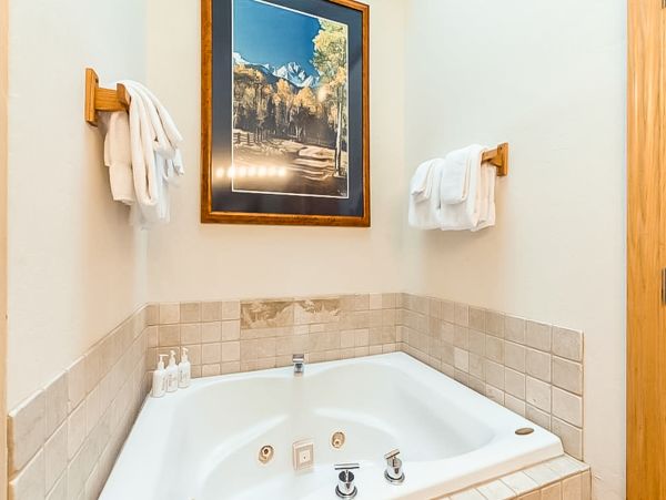 Telluride Condo 950122
