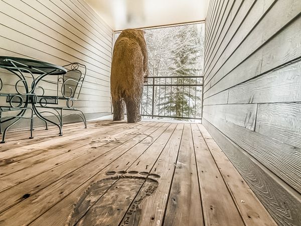 Telluride Condo 950122