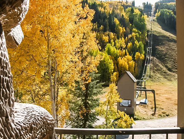 Telluride Condo 950122