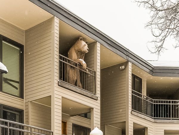 Telluride Condo 950122