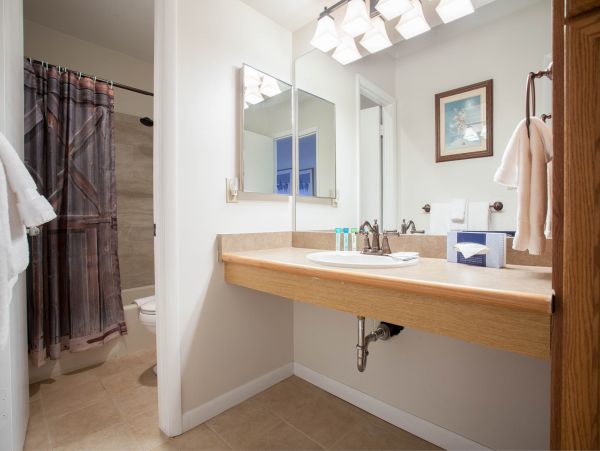 Steamboat Springs Condo 950124