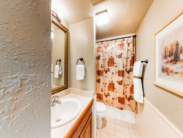 Vail Lionshead Condo 950128