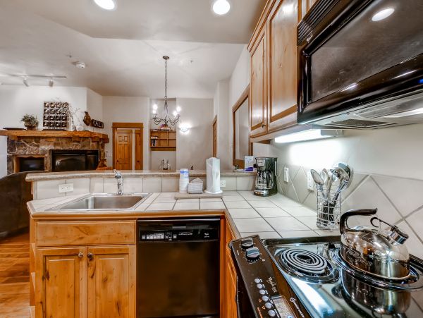 Steamboat Springs Condo 950130