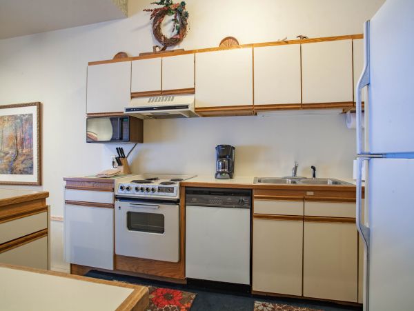 Steamboat Springs Condo 950144