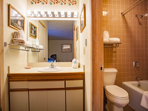 Steamboat Springs Condo 950144