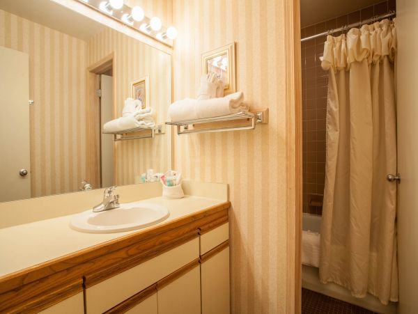 Steamboat Springs Condo 950144
