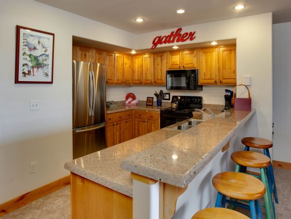 Steamboat Springs Condo 950146