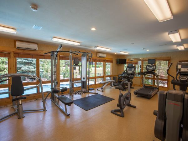 Steamboat Springs Condo 950146