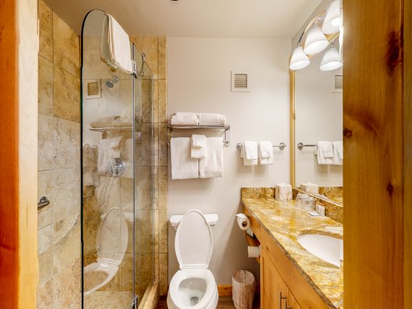 Aspen Condo 950148