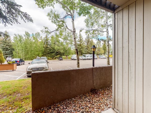 Aspen Condo 950148