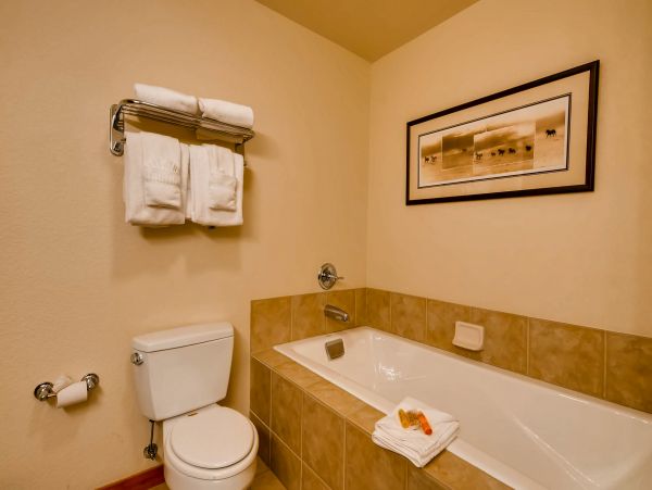 Breckenridge Condo 950150
