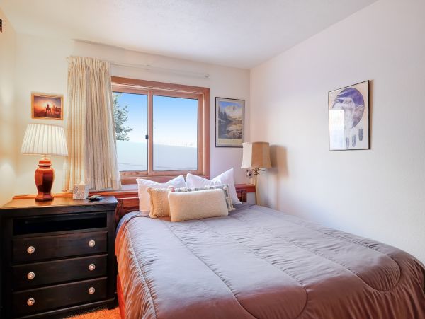 Breckenridge Condo 950155
