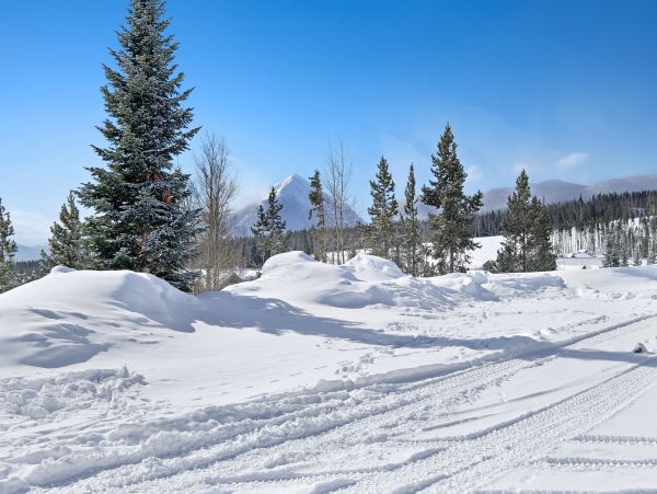 Breckenridge Condo 950155