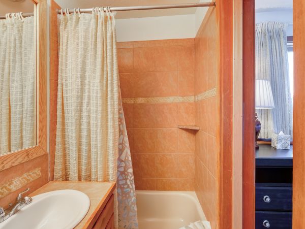 Breckenridge Condo 950155