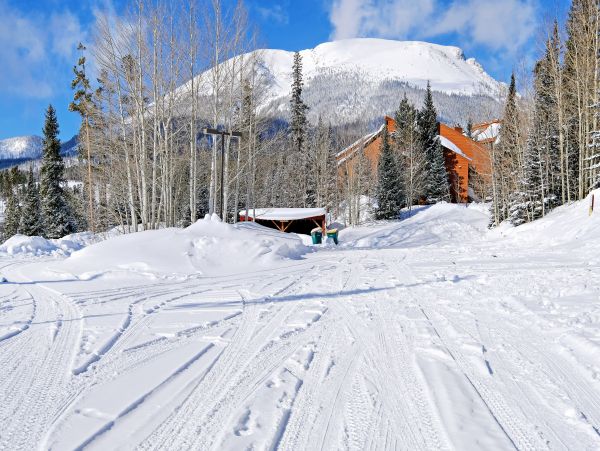Breckenridge Condo 950155