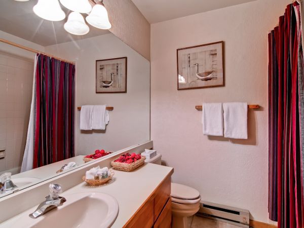 Steamboat Springs Condo 950156