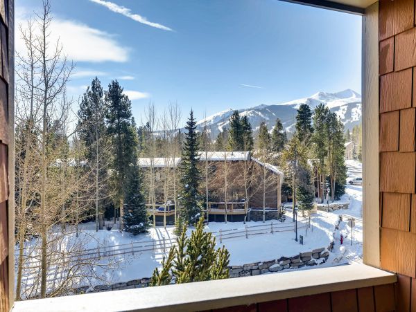 Breckenridge Condo 950159