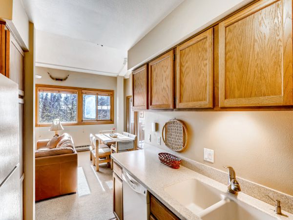 Breckenridge Condo 950159