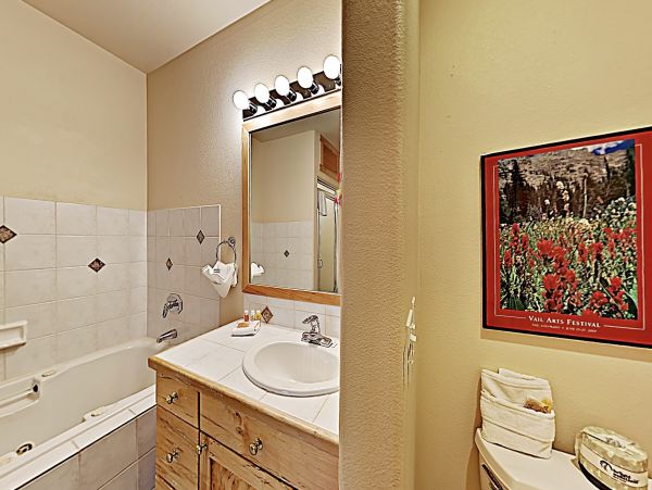 Breckenridge Condo 950161