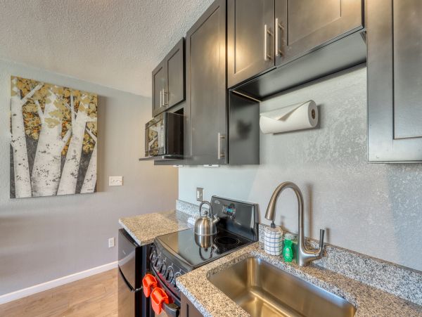 Breckenridge Condo 950166