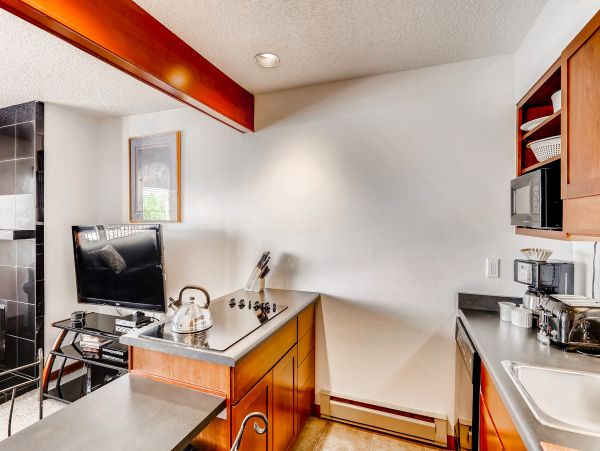 Breckenridge Condo 950169
