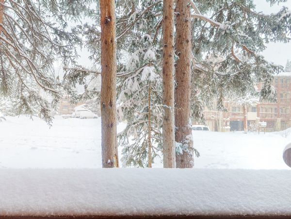 Breckenridge Condo 950174