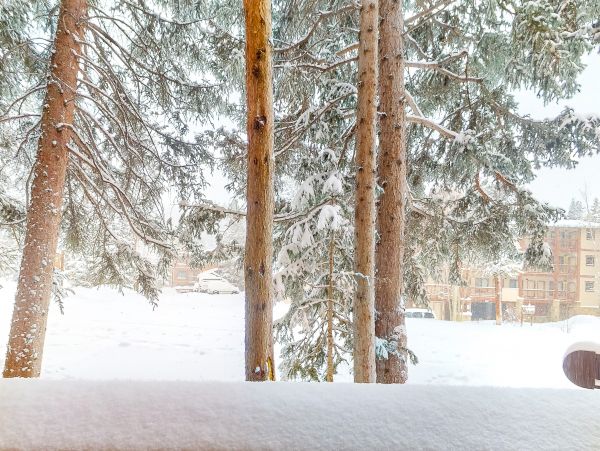 Breckenridge Condo 950174